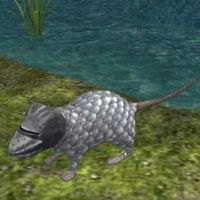 Mouse Simulator Animal Games