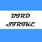BIRD STRIKE