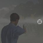 Stranded In The Forest