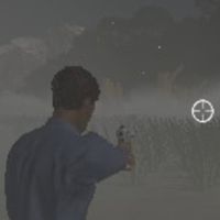 Stranded In The Forest