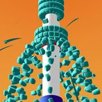 On Pipe : Satisfying Antistres