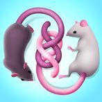 Untangle Rat King