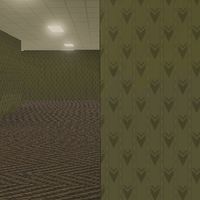 Video from Backrooms