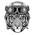 Tiger Freecell