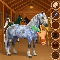 Horse Hair Salon