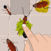 Insects Smasher: Ant Crush