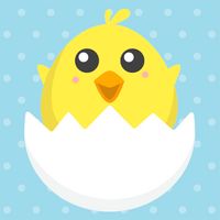 Baby Chick Suprise: Babies vid