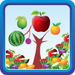 Fruit Slicer