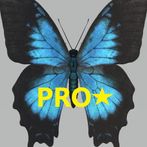 Anti Stress Shapes Pro