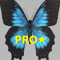 Anti Stress Shapes Pro