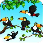 Bird Sort - Game