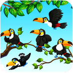 Bird Sort - Game