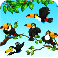 Bird Sort - Game