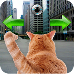 Cat In City Go Simulator