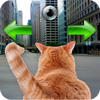 Cat In City Go Simulator