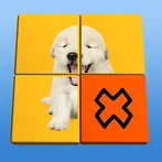 Flip Puzzle