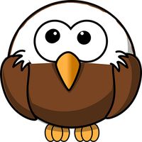 Eagle Bounce
