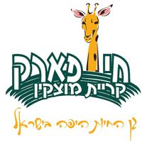 כיף בחי בפארק