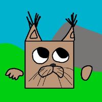 шлёпа и платформы