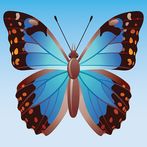 Butterfly Playtime Match 3