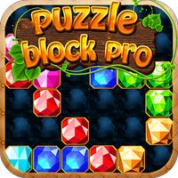 Puzzle Block Pro