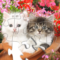 Jigsaw puzzles game - fixit