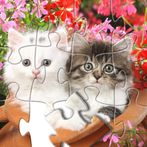 Jigsaw puzzles game - fixit