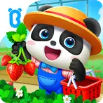 Baby Panda's Fruit Farm
