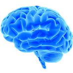 Brain & Math & Puzzle Games