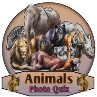 Animals Gaming Quiz