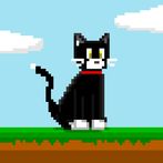 고양이 날다-리메이크