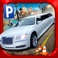 Limousine Car Parking:Big City