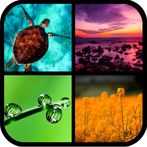 Guess it ! 4 Pics, 1 Word