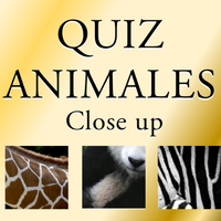 Quiz animales. Adivina el anim