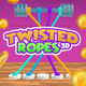 Twisted Ropes 3D Tangle Master
