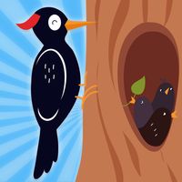 Woodpecker