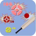 Gully Cricket Practice