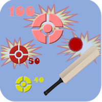 Gully Cricket Practice