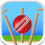 Cricket - Defend the Wicket