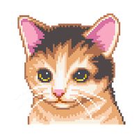 Cat Care Virtual Pet Adfree