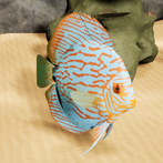 Happy Discus Fish Simulator