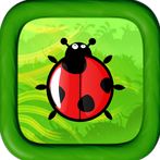 Ladybug Adventures