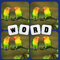 4 Pics 1 Word: Fun Game
