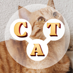 Cat Word - Word Search Game