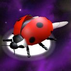 Space Ladybug