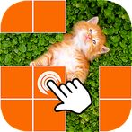 What's picture behind cell