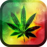 Dispensary Dash