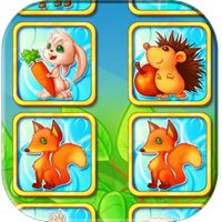 Flip card memory 2021