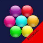 Pazzles - Premium Version