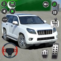 Pro Parking Car Driving School